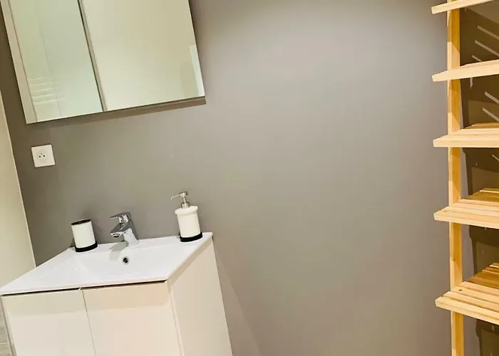 Apartment Esprit Cosy Sur Plateau Clermont-Ferrand