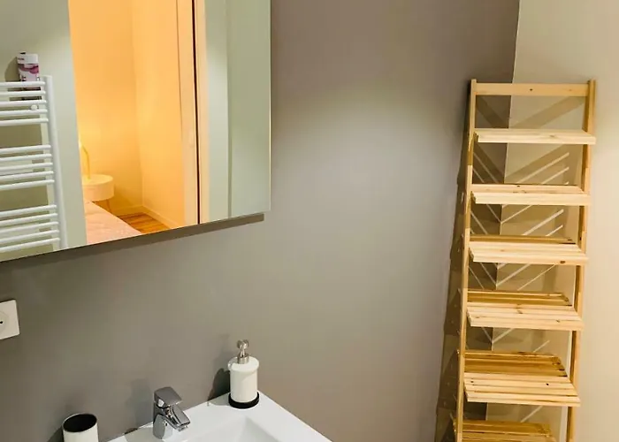 Esprit Cosy Sur Plateau Apartment *